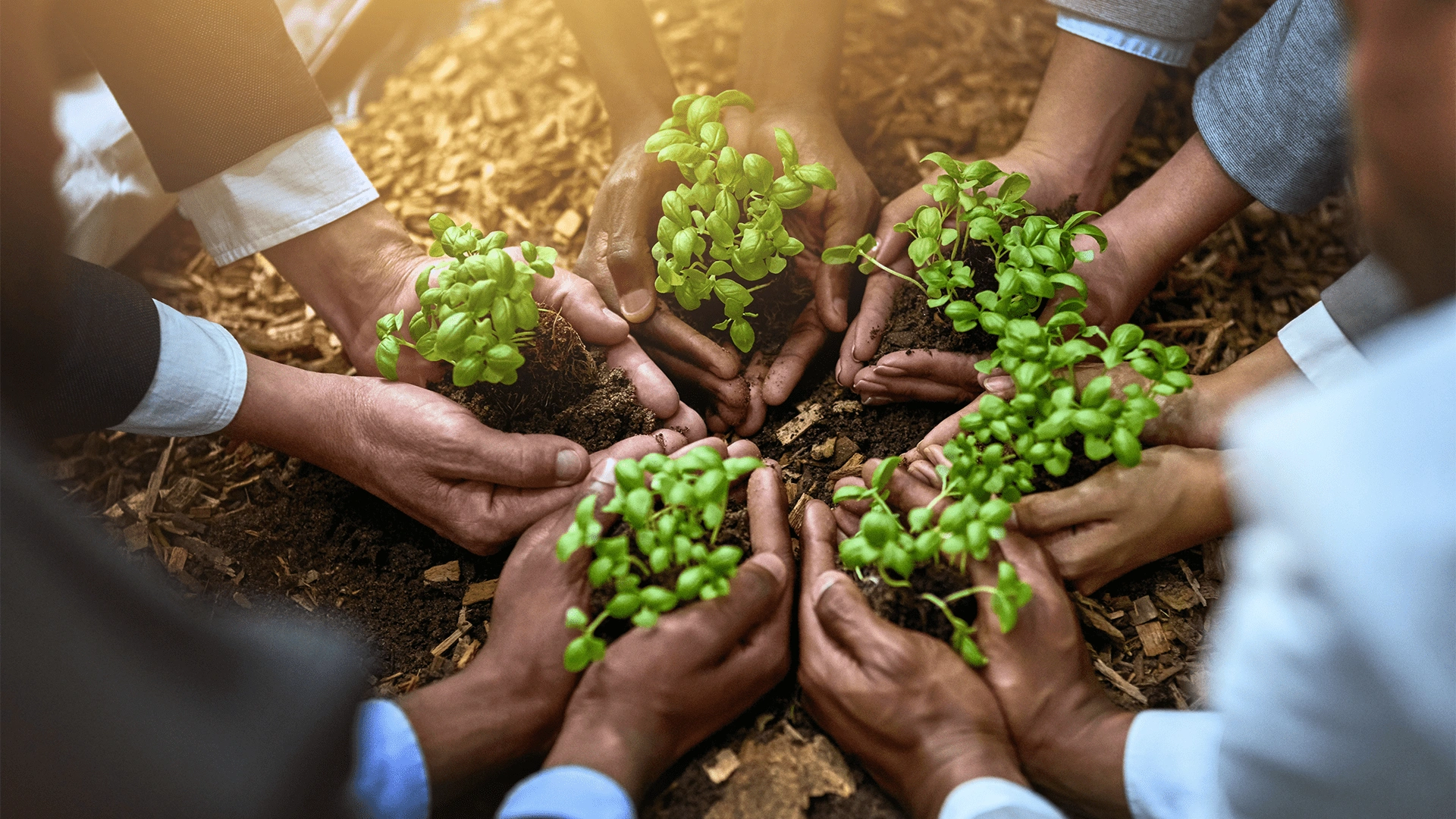 Sustainable approach